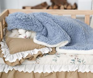 Dog Cloak Blanket – Warm Pet Wrap Coat for Indoor & Outdoor Use