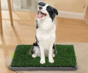 Mid-Size Pet Litter Box with Artificial Grass – Indoor Cat & Dog Potty