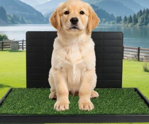 Pet Litter Box with Artificial Grass – Indoor Cat & Dog Training Potty (With / Without Wall)