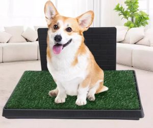 Pet Litter Box with Artificial Grass – Indoor Cat & Dog Potty (With / Without Wall, Multiple Sizes)