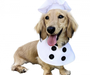 Dog/Cat Chef Uniform, Comfortable & Stylish for Small to Large Dogs