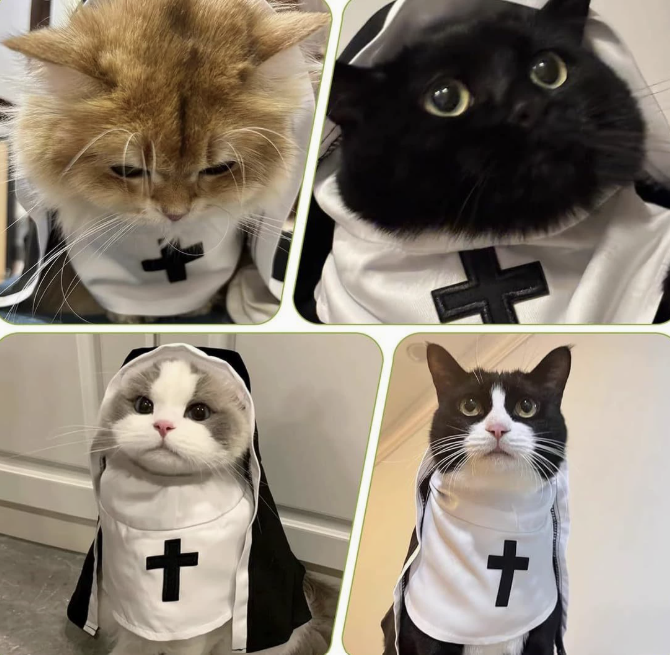 Nun Pet Costume, Cute & Comfortable Outfit for Dogs and Cats - Image 3