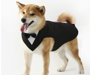 Pet Tuxedo, Stylish & Comfortable for Dogs and Cats