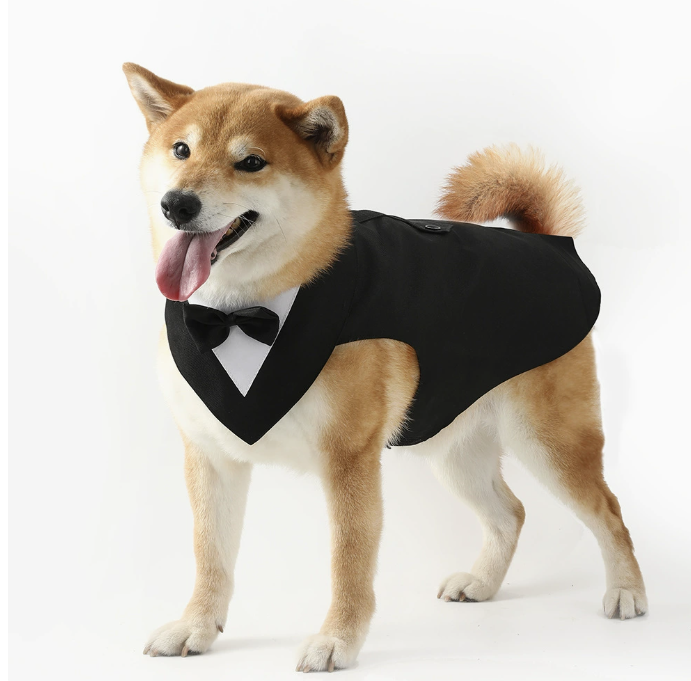 Pet Tuxedo, Stylish & Comfortable for Dogs and Cats